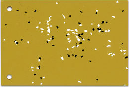 * [asterisk] nr. 36 | Anja Skole Ellegaard