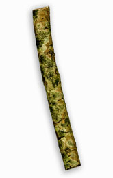 * [asterisk] nr. 39 | Lars Worm